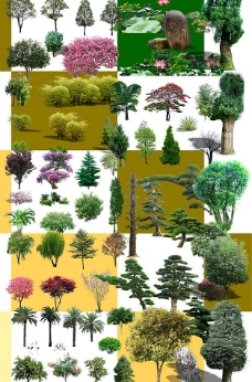 园林绿化素材(树)图片