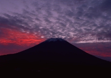 樱花与富士山0092