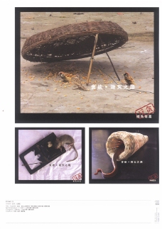 第十四届中国广告节获奖作品集0391