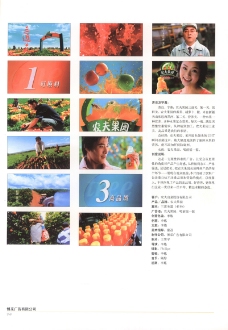 中国广告作品年鉴0307