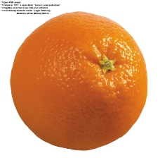 香橙0010
