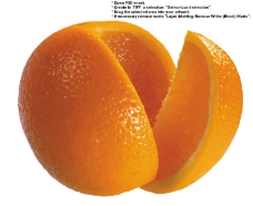 香橙0030