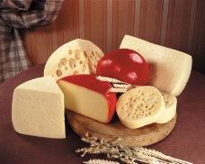 奶酪黄油奶油0069