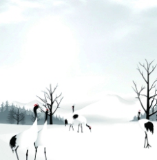 雪中之鹤图片