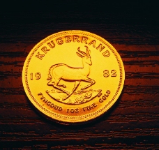黄金货币0142