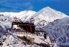 西藏自治区0011