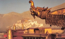 西藏自治区0001