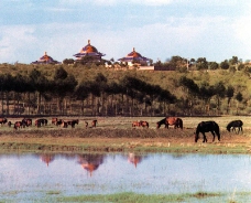 内蒙古自治区0006