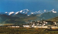 西藏自治区0017