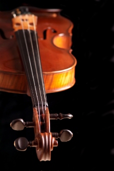 小提琴0033