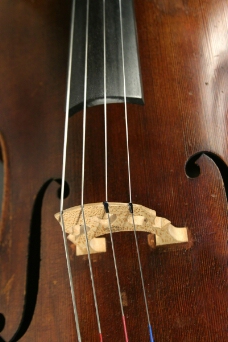 小提琴0022