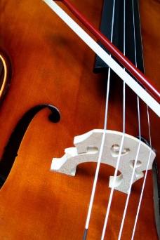 小提琴0008