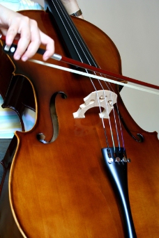 小提琴0011