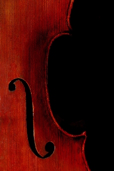 小提琴0005
