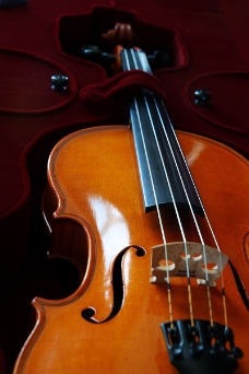 小提琴0007