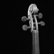 小提琴0055