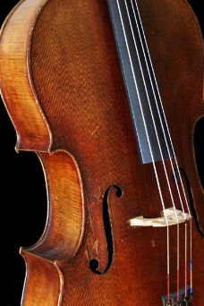 小提琴0006