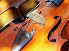 小提琴0060