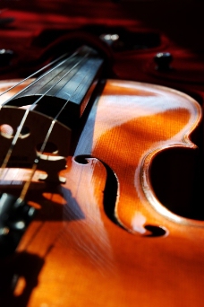 小提琴0026