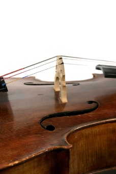 小提琴0021